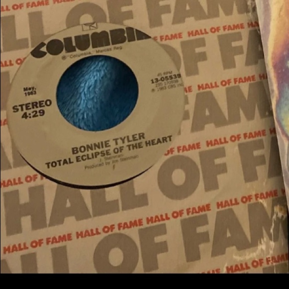 Vinyl record